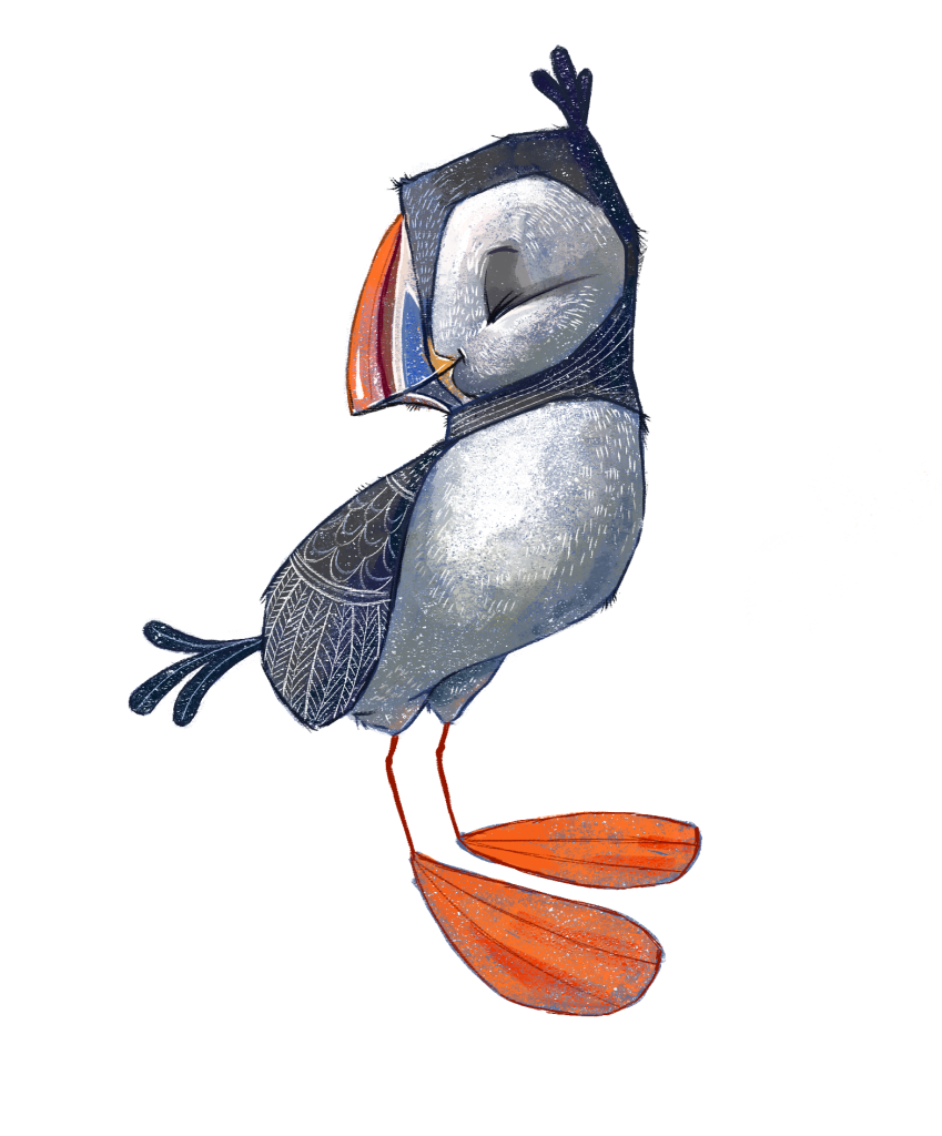 Puffin, illustrazione a colori