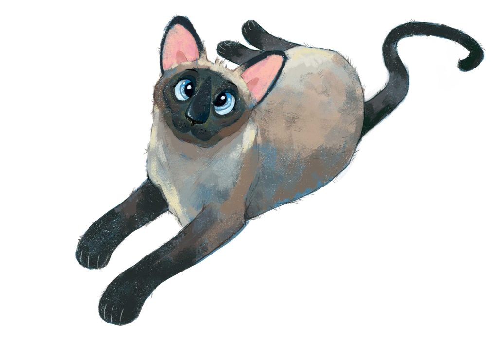 siamese